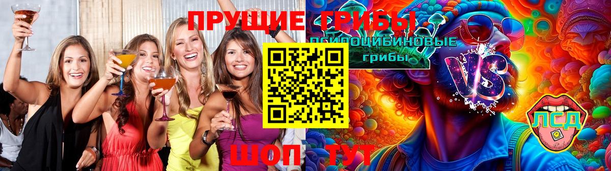 Псилоцибиновые грибы Psilocybe  Вход с VPN  Кольчугино 